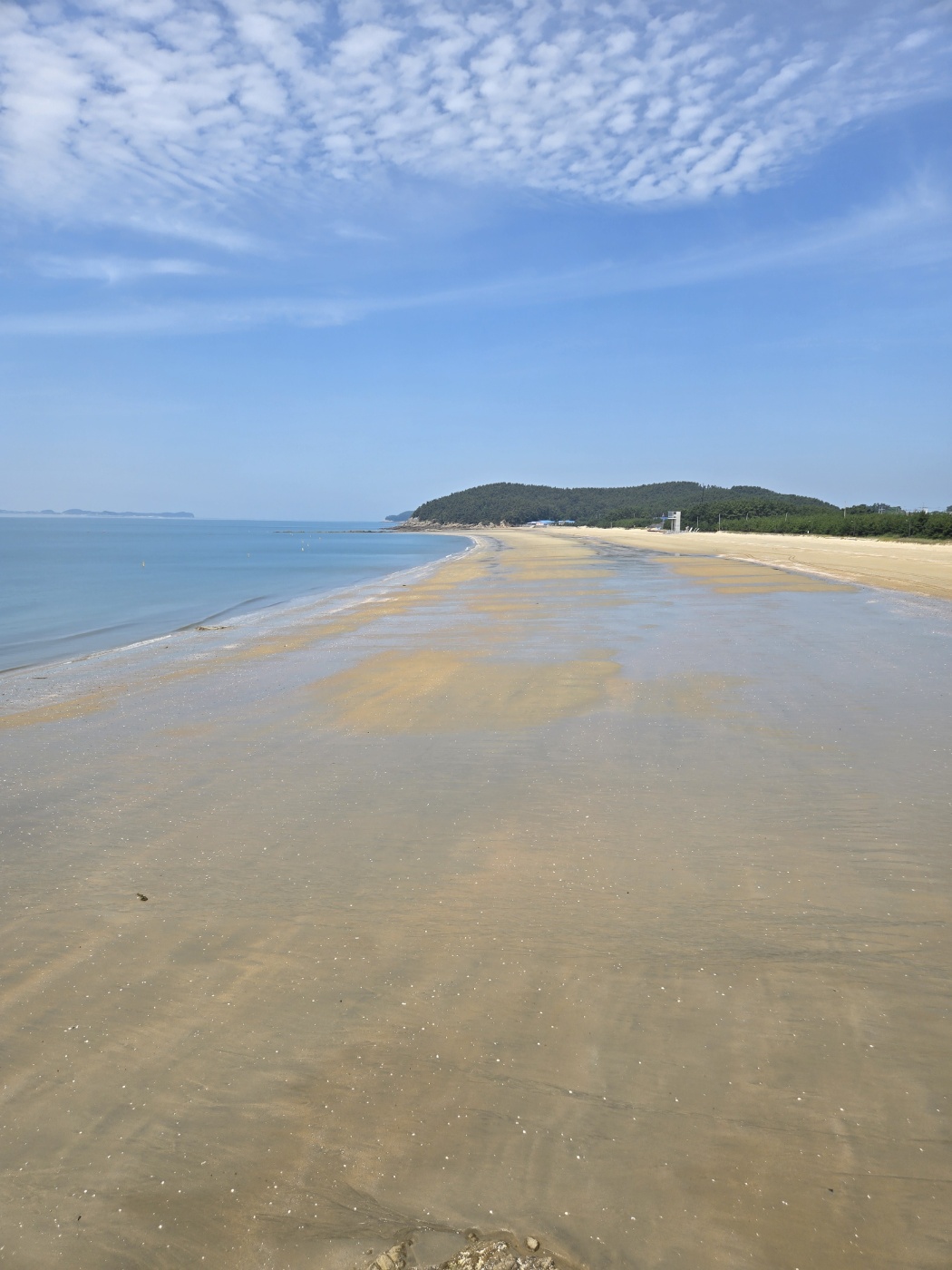 원산도해수욕장 15