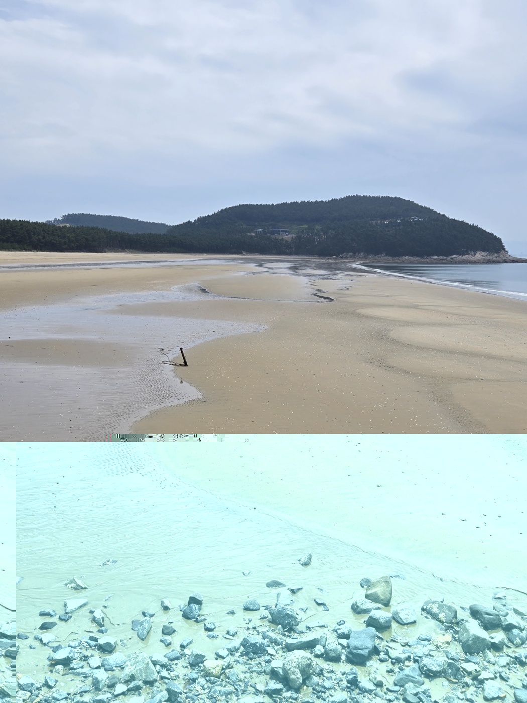 원산도해수욕장 28