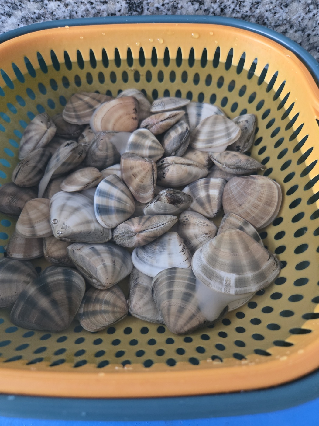 원산도해수욕장 30